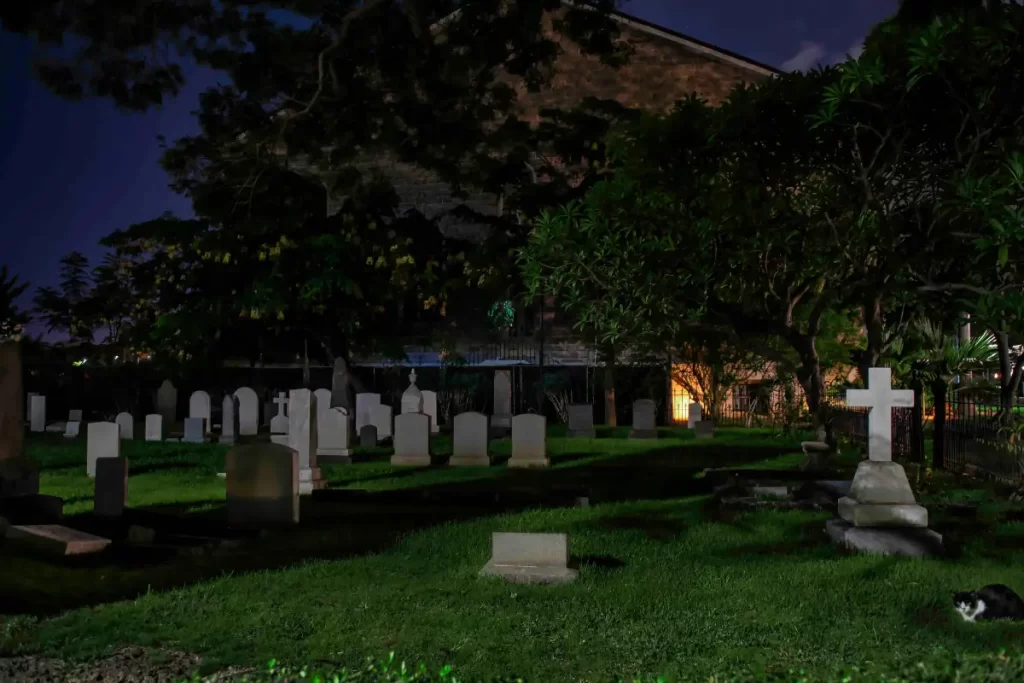 Tombstones in a cemetery