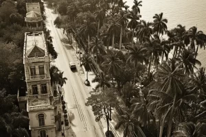 A depiction of palm trees and buildings in Florida